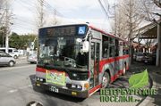 До Mistola Hills запустят специальное маршрутное такси | Новости загородной недвижимости До Mistola Hills запустят специальное маршрутное такси
